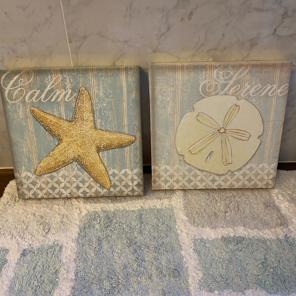 Serene pictures. Set of 2 12”x12”